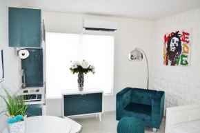 Renovated Luxury Studio Apartment IN Downtown! 27